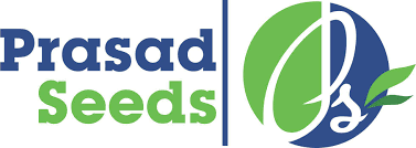 Prasad Seed