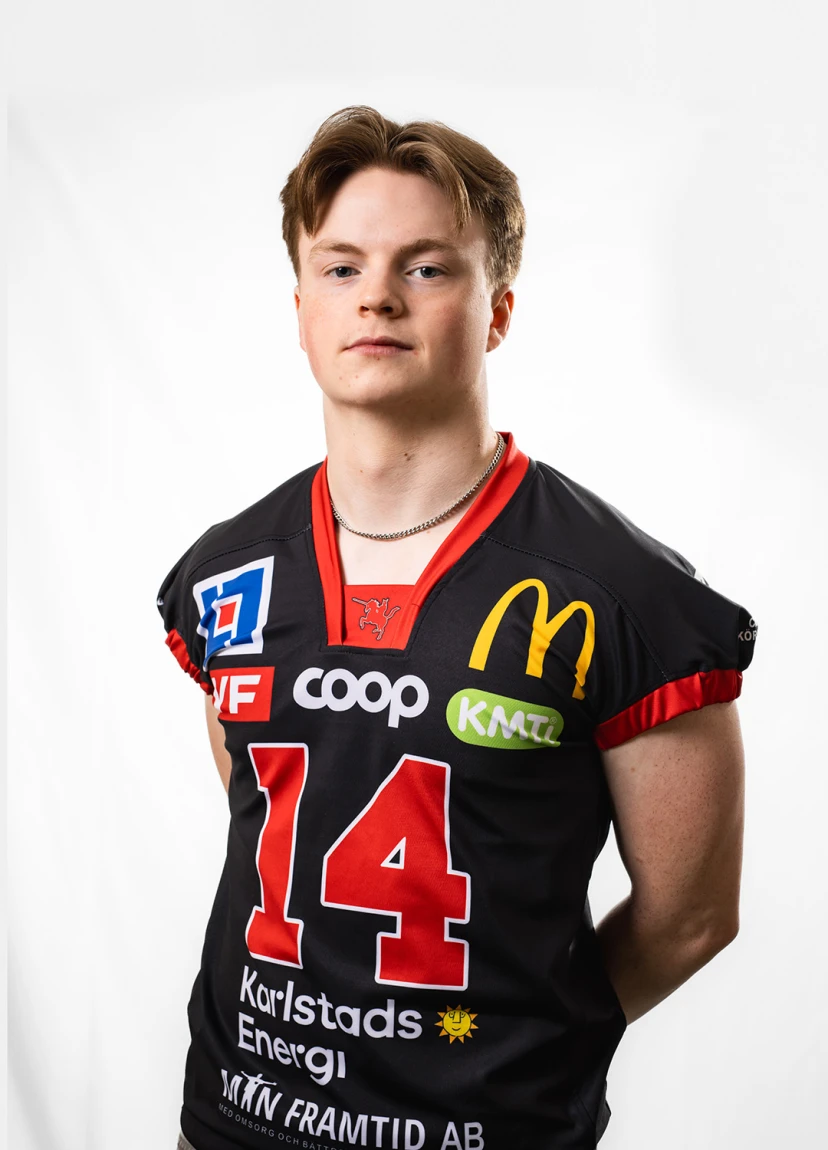 Ludvig Widmark profile photo