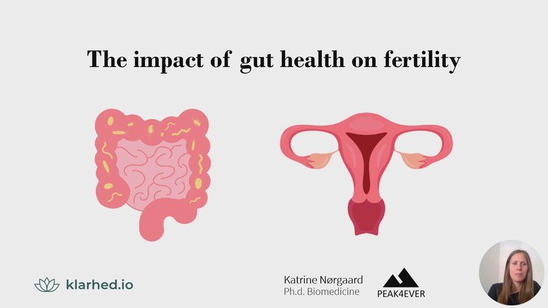 The Impact of Gut Health on Fertility
