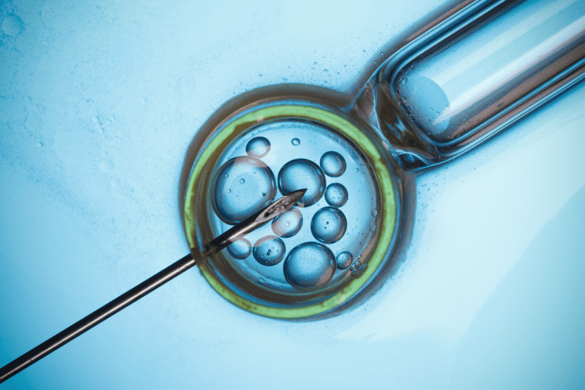 IVF and the Vaginal Microbiome