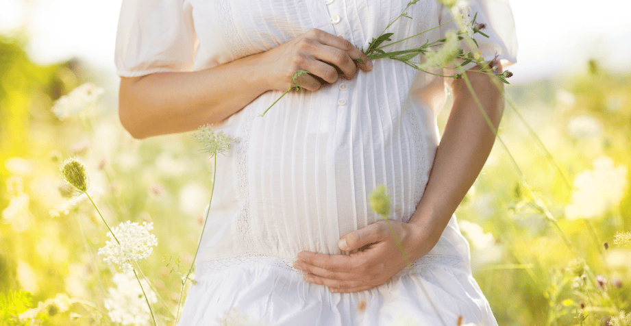 Screenshot 2025-02-10 at 15.14.38.png