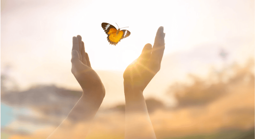 Screenshot 2025-02-10 at 16.03.36.png