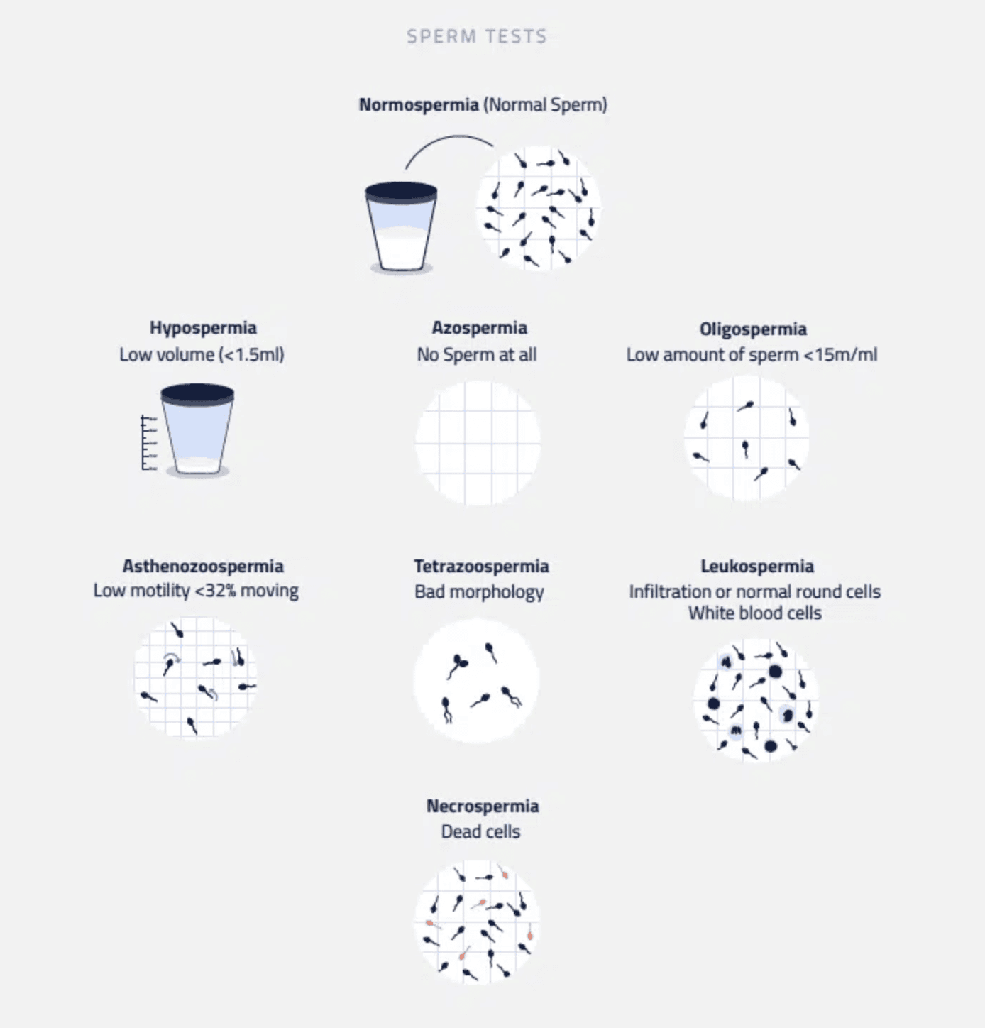 Screenshot 2025-02-11 at 16.18.31.png