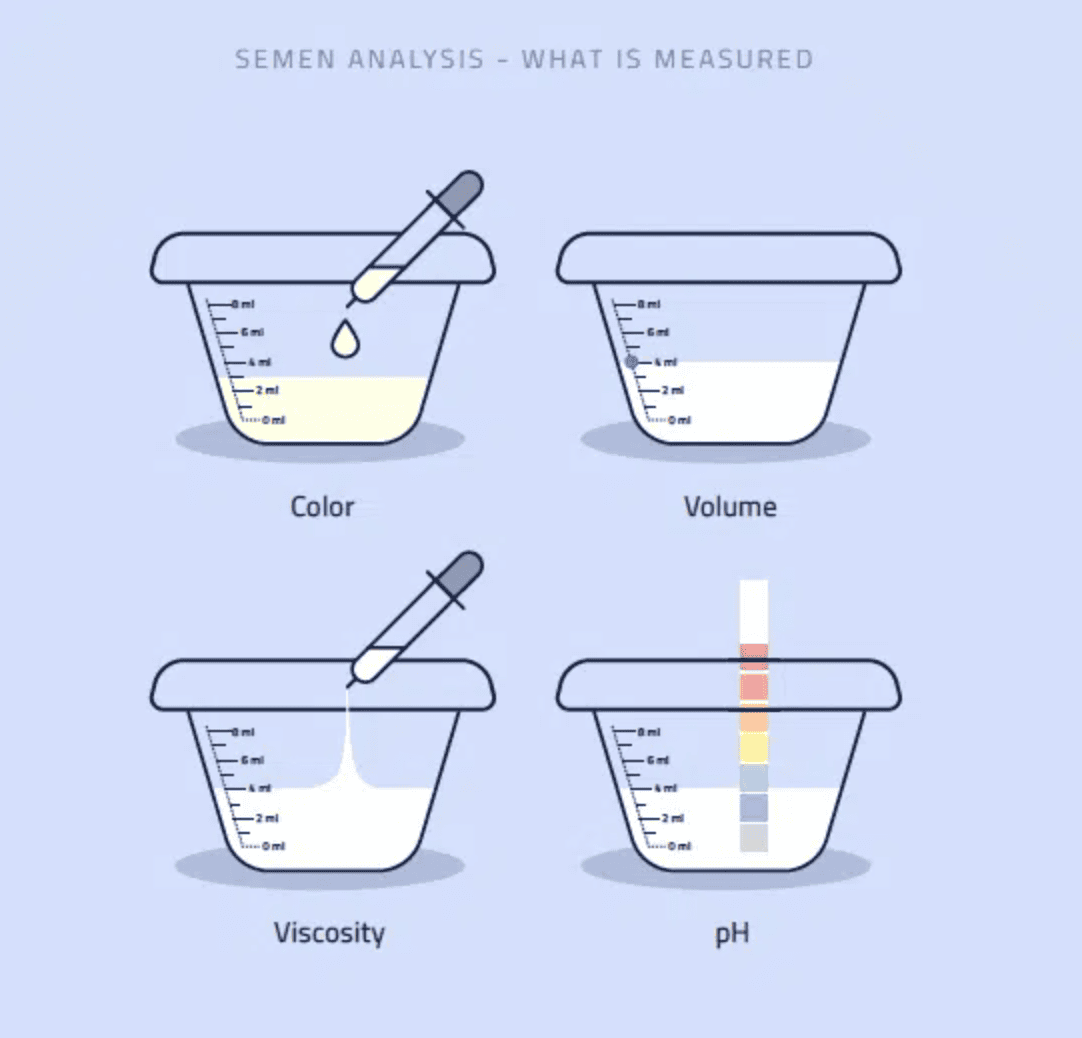 Screenshot 2025-02-11 at 16.19.44.png