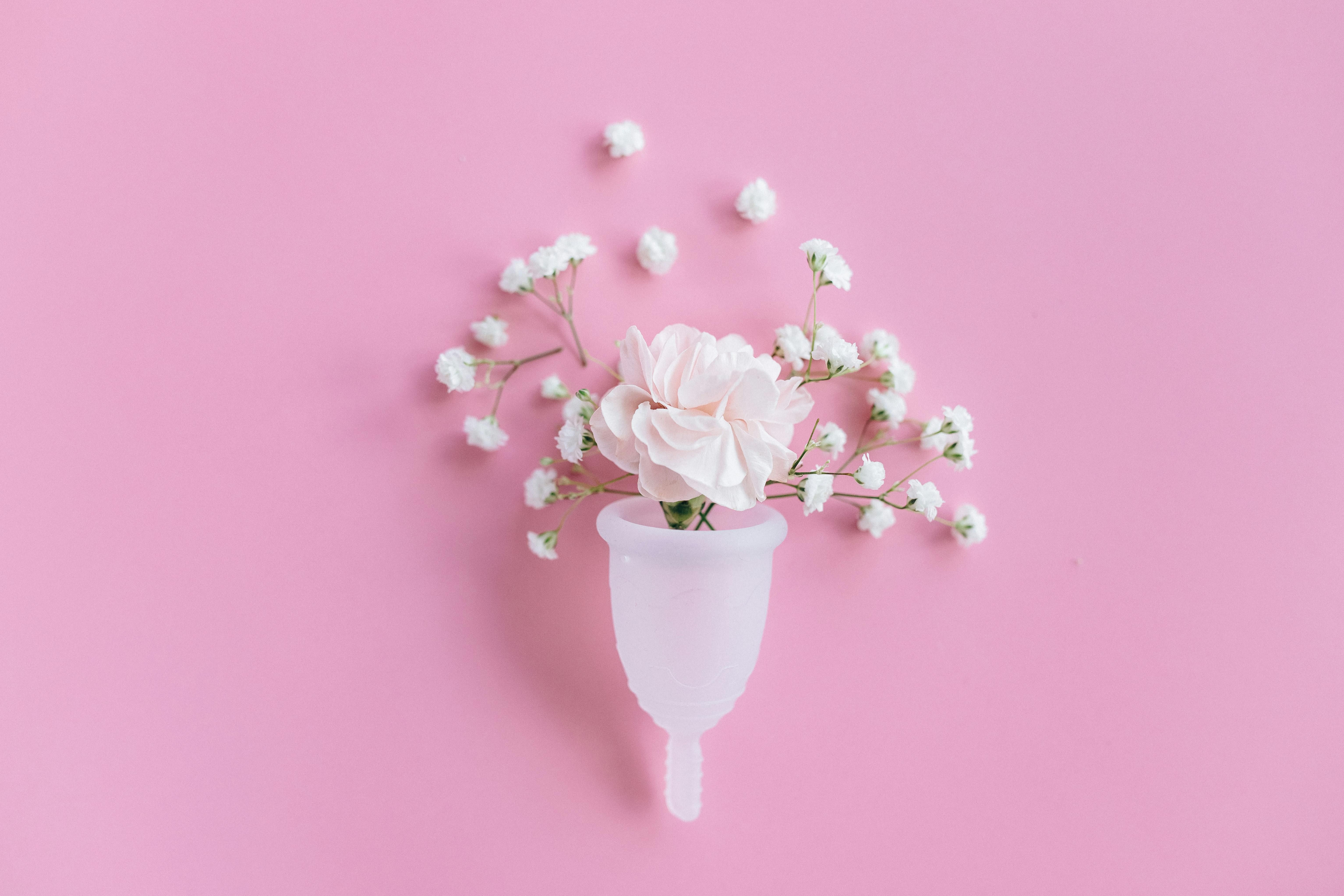 The Inner Seasons of the Menstrual Cycle