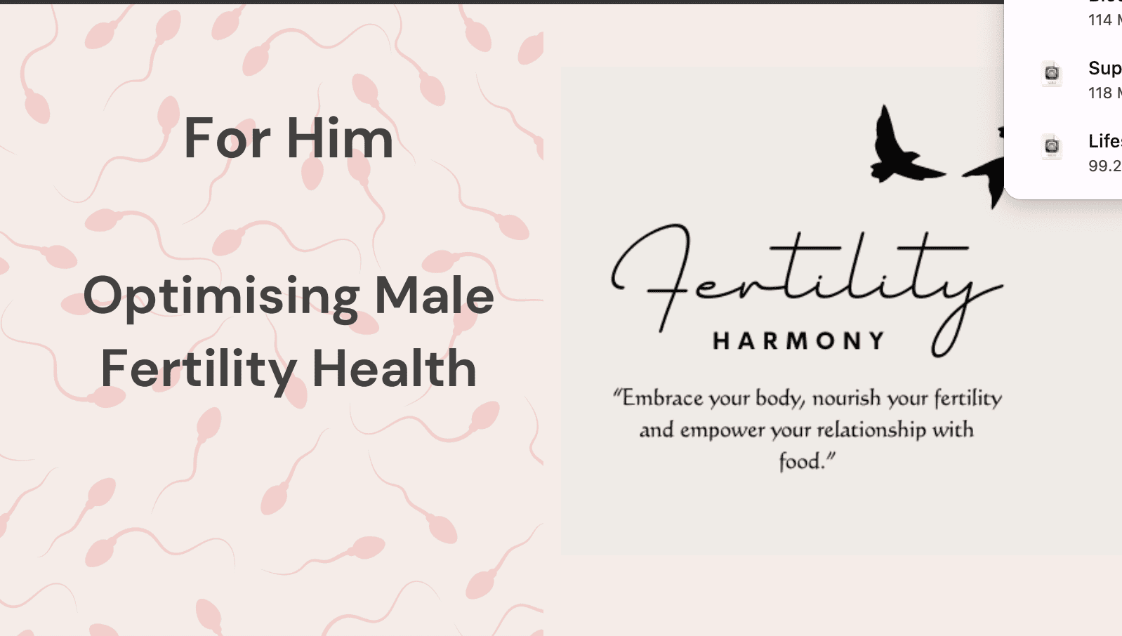 Optimising Male Fertility Health