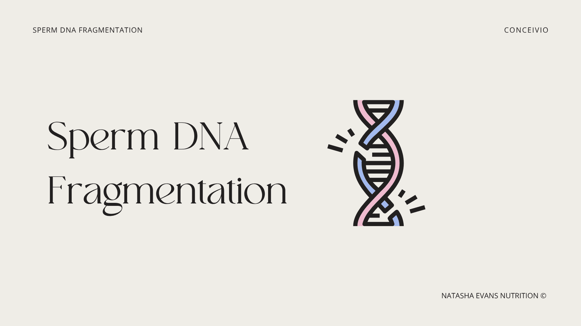 Sperm DNA Fragmentation 