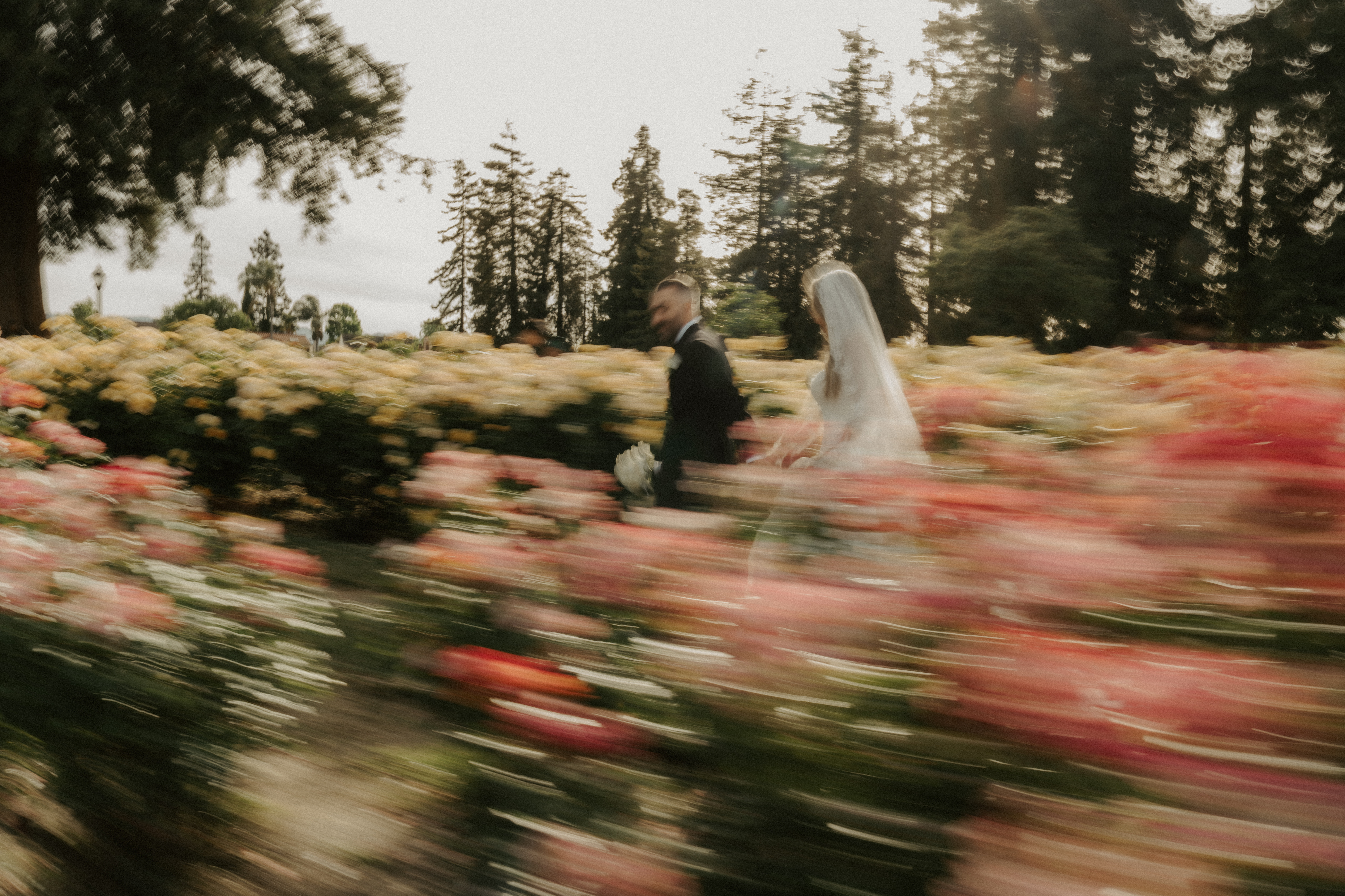 Adorn Weddings wedding film