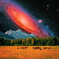 Wild Horses asset