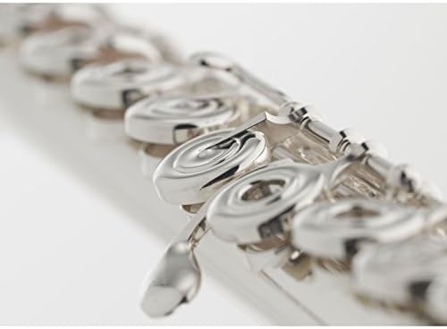 Vue 2 de Yfl Querflote Flute Avec