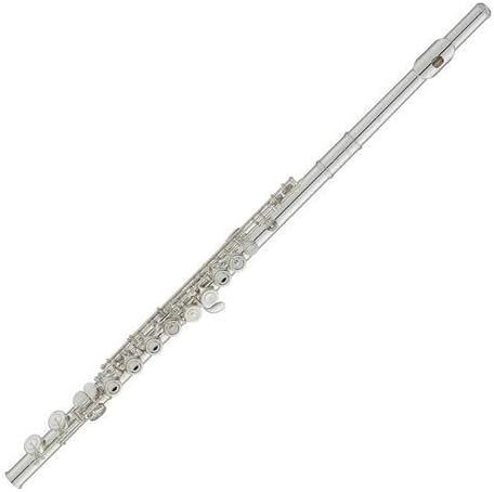 Vue 4 de Yfl Querflote Flute Avec