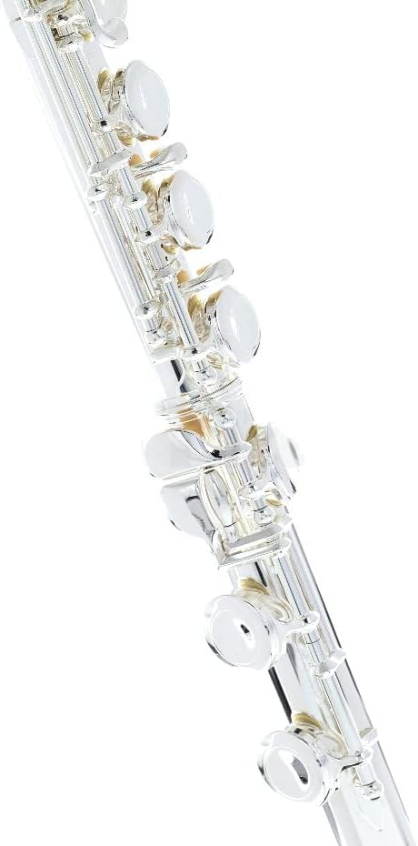 Vue 2 de Flute Cles Fermees