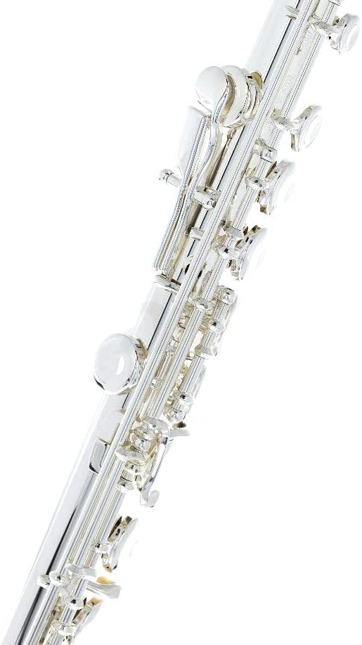 Vue 3 de Flute Cles Fermees