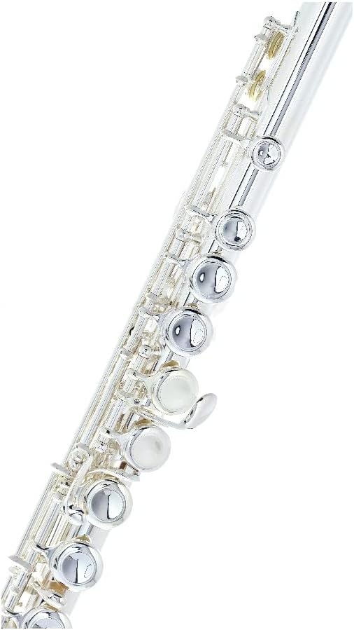 Vue 4 de Flute Cles Fermees