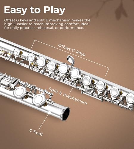 Vue 4 de Vangoa Flute Traversiere