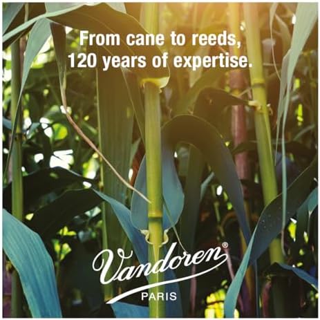 Vue 6 de Vandoren Cr Anches