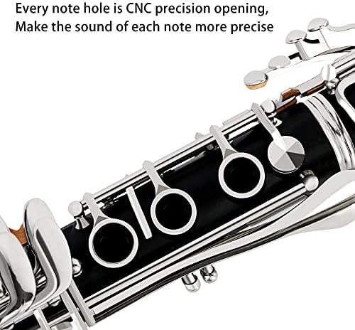 Vue 4 de Eastrock Si Clarinette