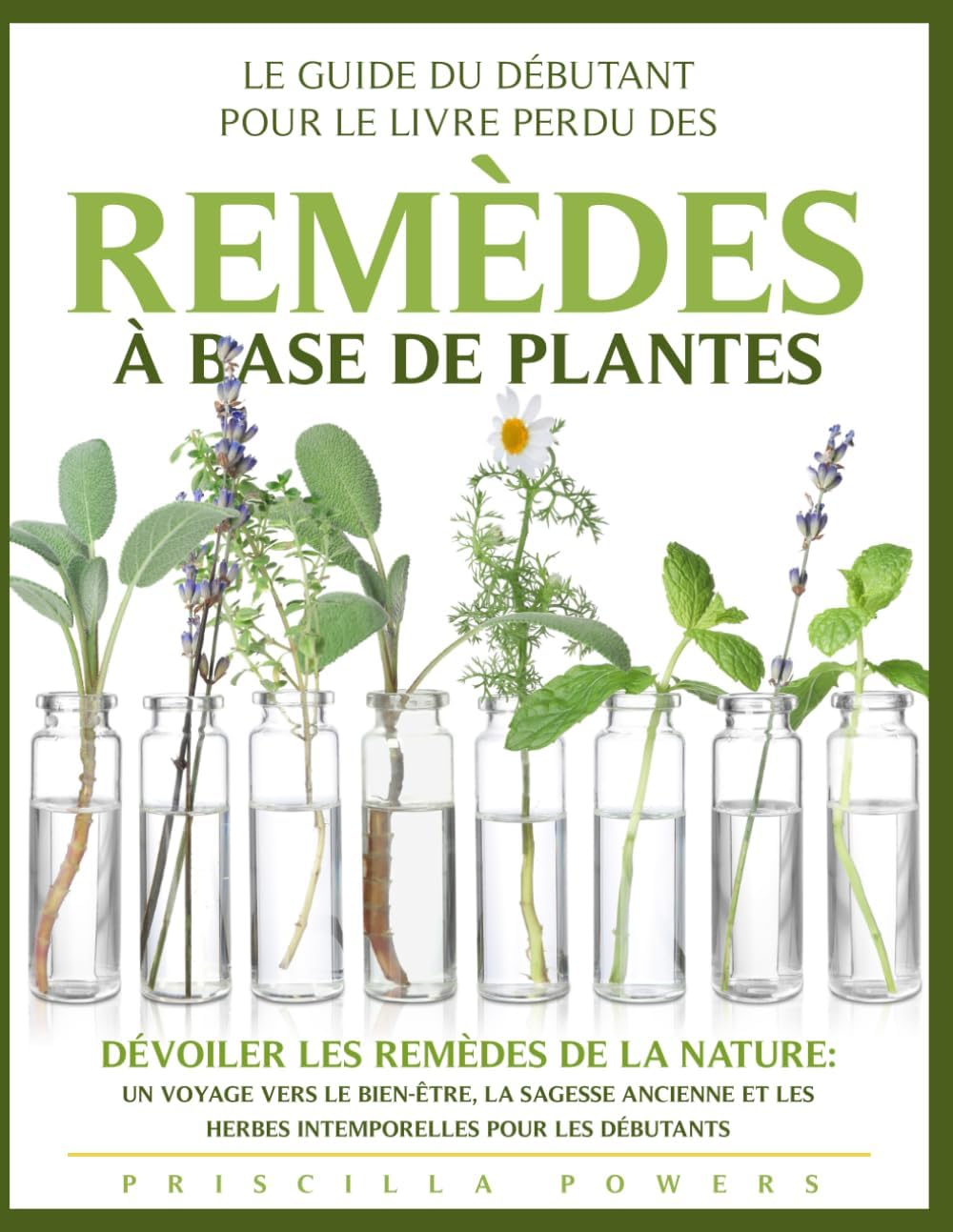 Vue 3 de Le Grand Livre De