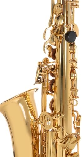 Vue 3 de Roy Benson As Saxophone