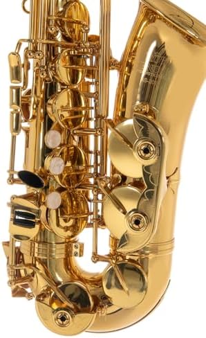 Vue 4 de Roy Benson As Saxophone