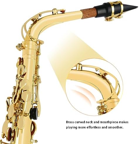 Vue 5 de Eastrock Saxophone Alto