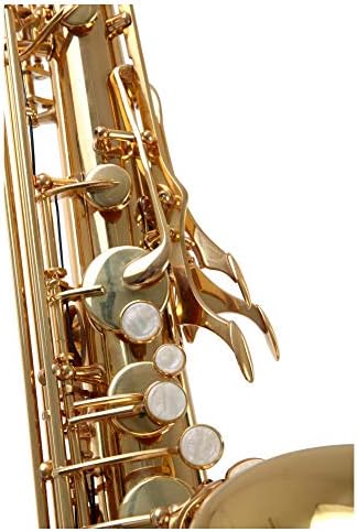 Vue 2 de Classic Cantabile Winds Ts