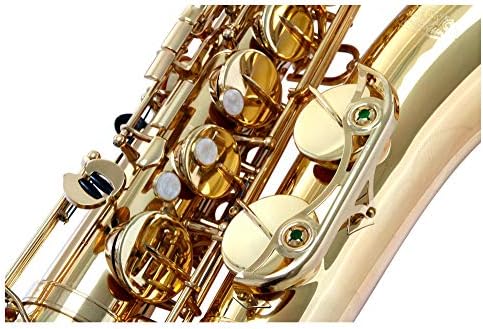 Vue 3 de Classic Cantabile Winds Ts