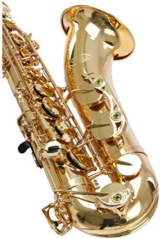 Vue 4 de Classic Cantabile Winds Ts