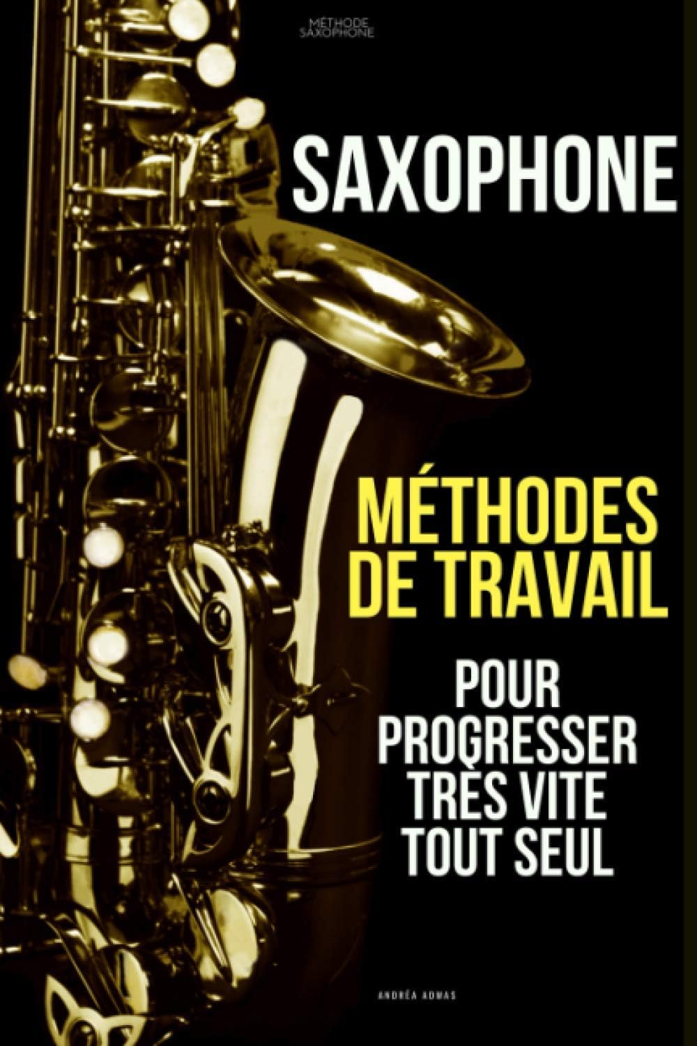 Vue 4 de Saxophone Pour Debutants Theorie