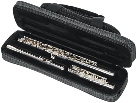 Vue 6 de Etui Rigide Flute Traversiere