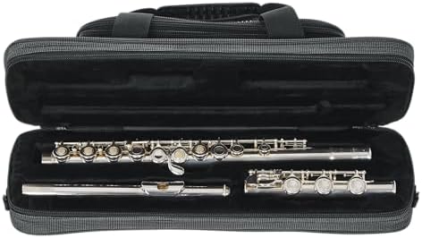 Vue 7 de Etui Rigide Flute Traversiere