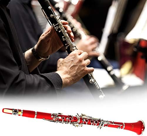 Vue 2 de Alomejor Clarinette Touches