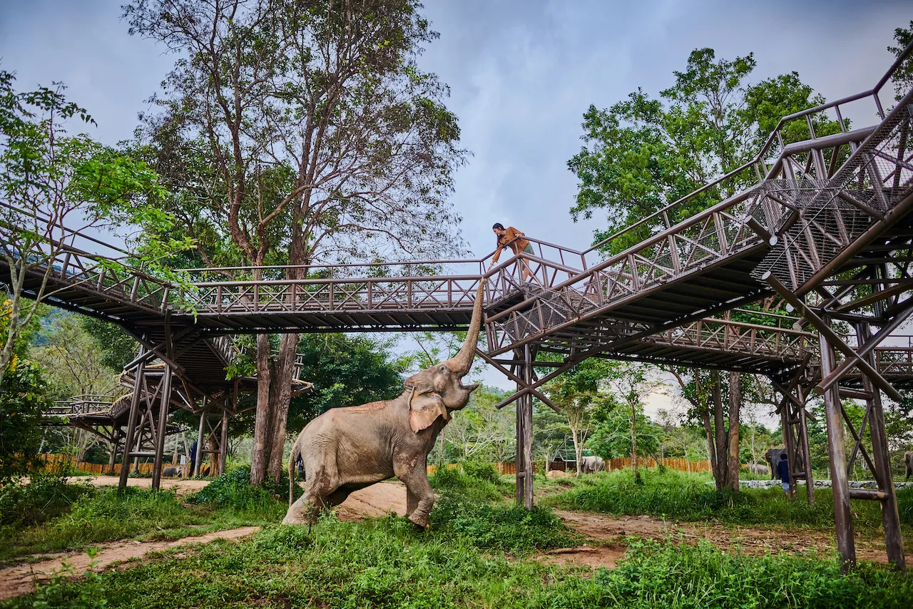Ethical elephant sanctuary