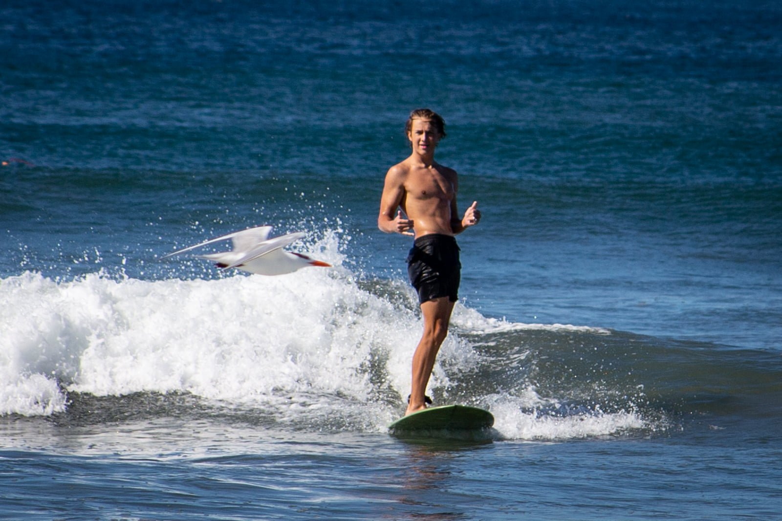 Gus surfing in Nosara