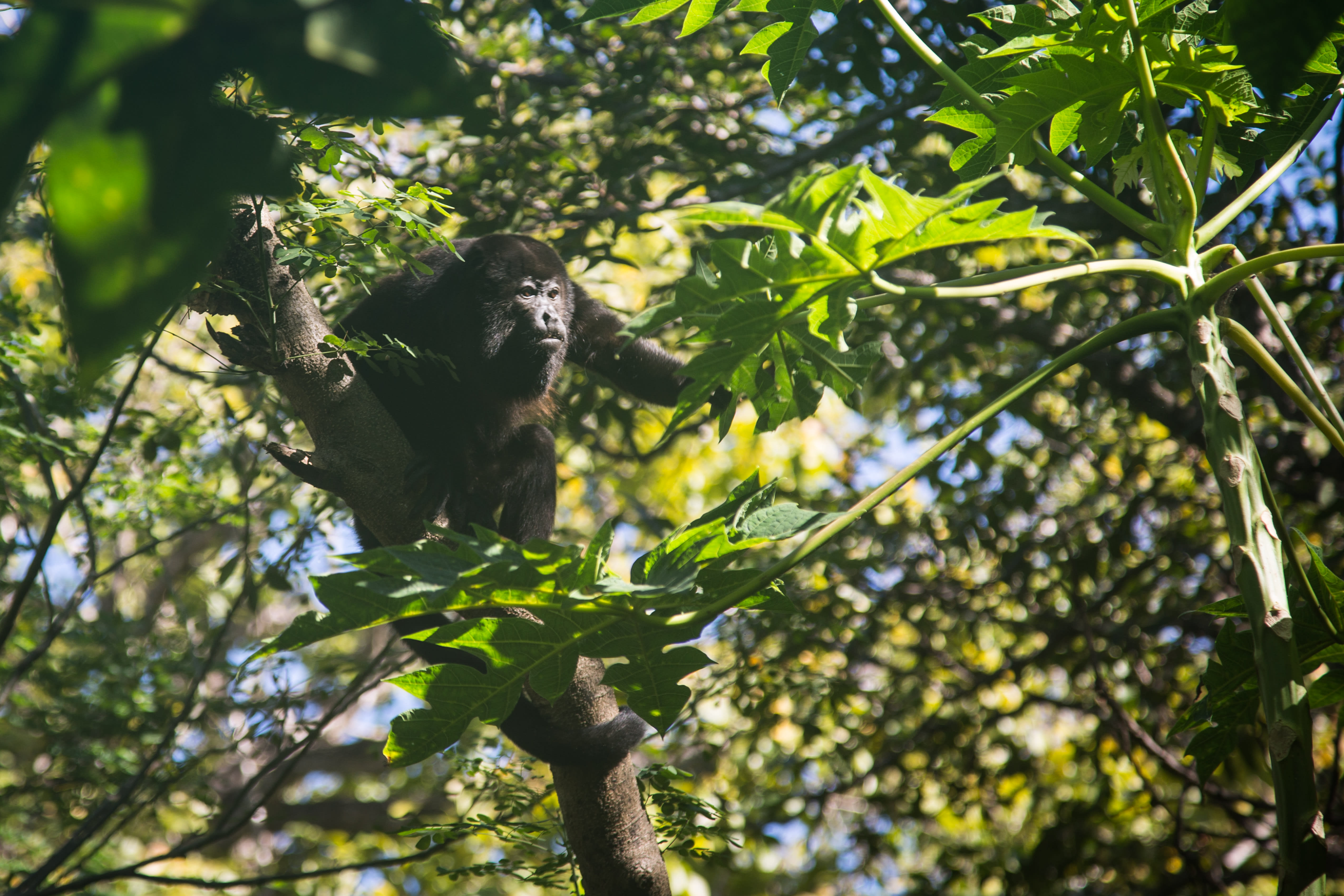 Healthy coastal meal