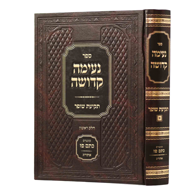 נעימה קדושה - תמונה 1