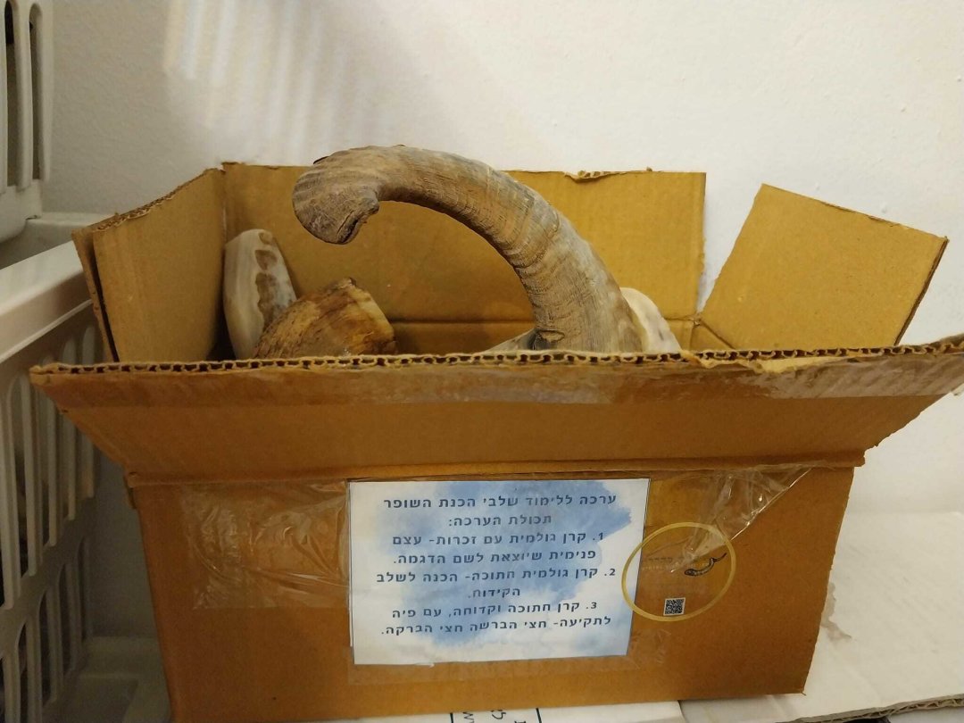 ערכה ללימוד שלבי הכנת השופר - תמונה 1