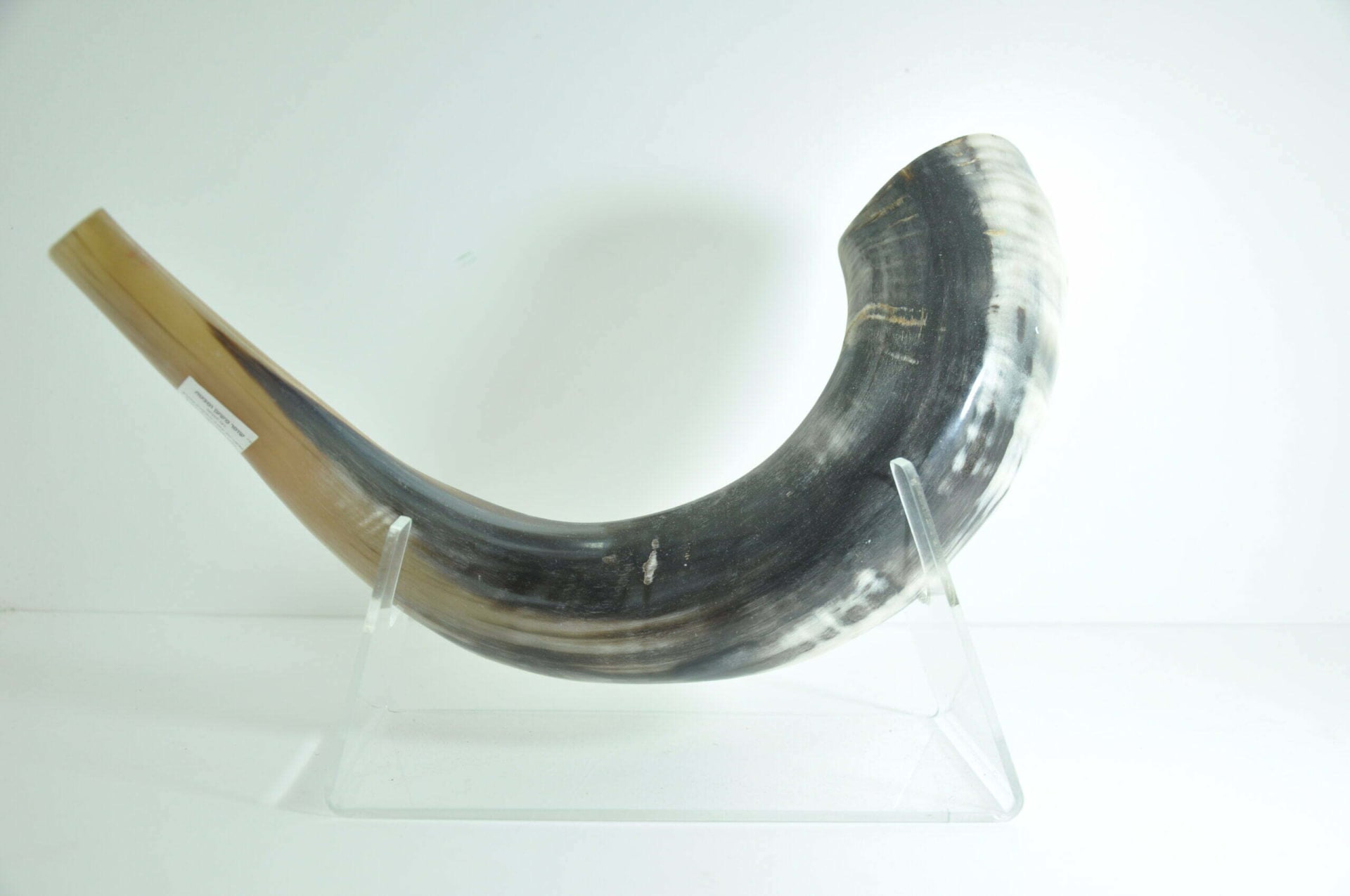 מעמד שופר פרספקס  shofar stand - תמונה ממוזערת 9