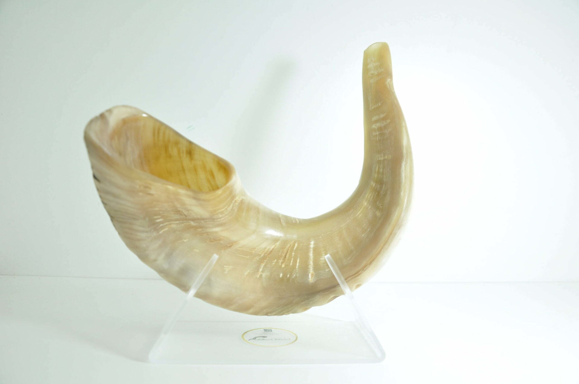 מעמד שופר פרספקס  shofar stand - תמונה ממוזערת 5
