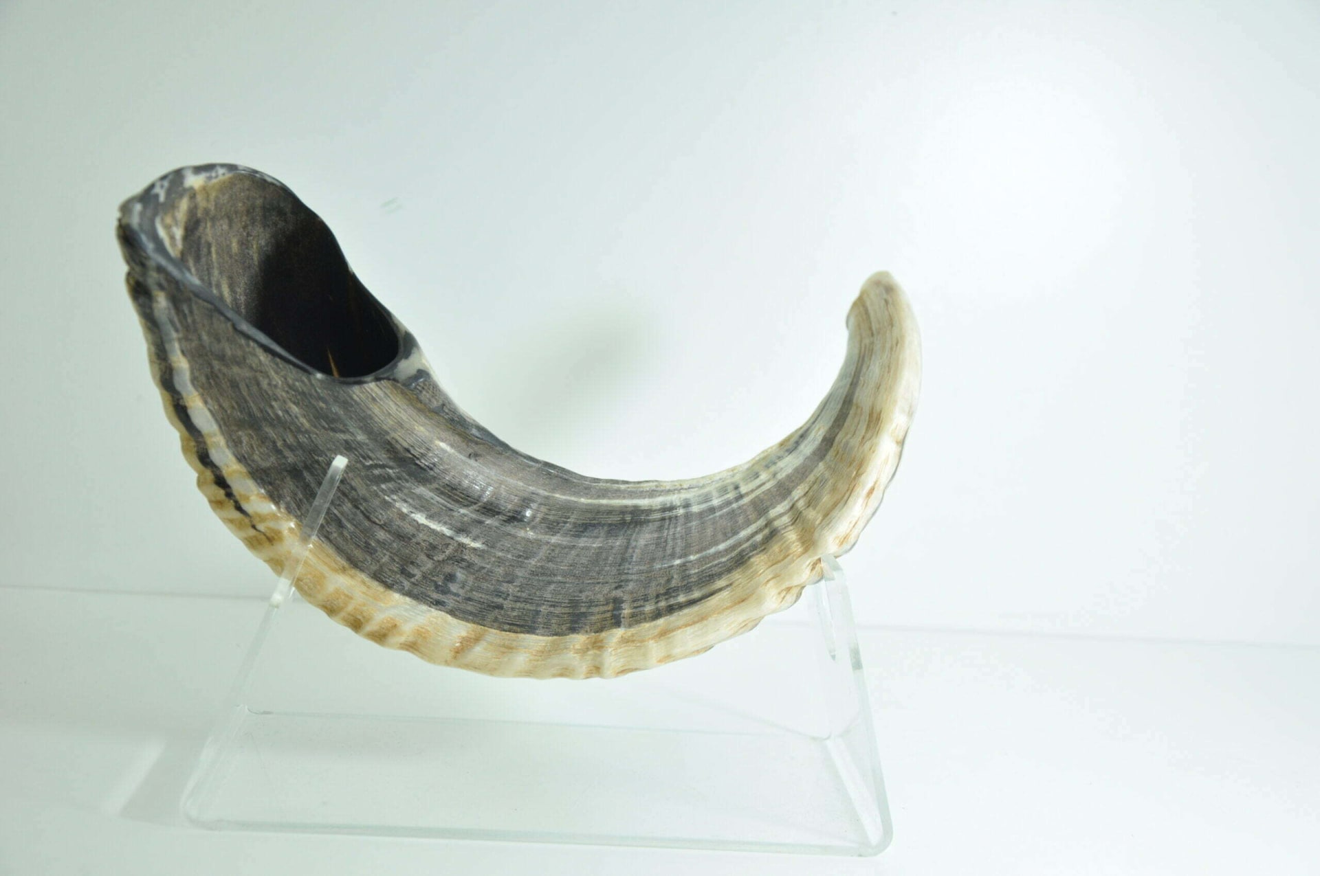 מעמד שופר פרספקס  shofar stand - תמונה ממוזערת 14