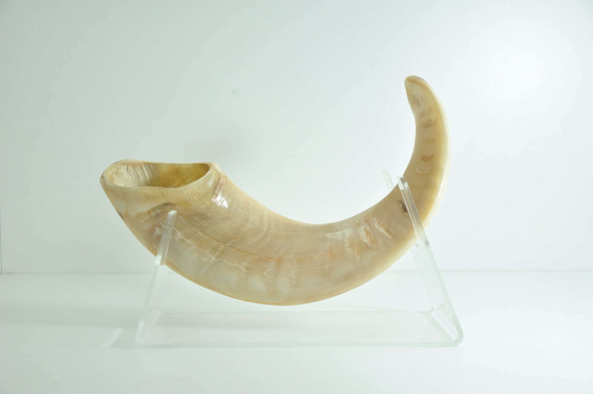 מעמד שופר פרספקס  shofar stand - תמונה ממוזערת 19