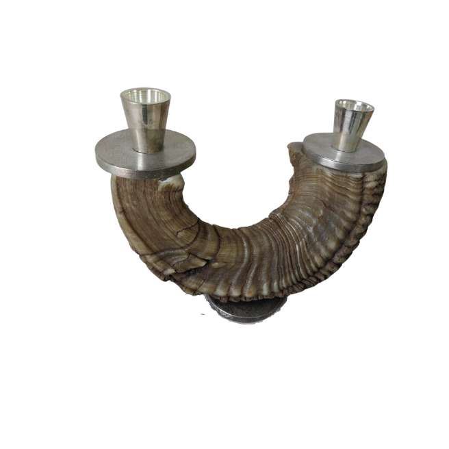 פמוטות שופר אמיתי  candlestick for Shabbat candles made from a real shofar