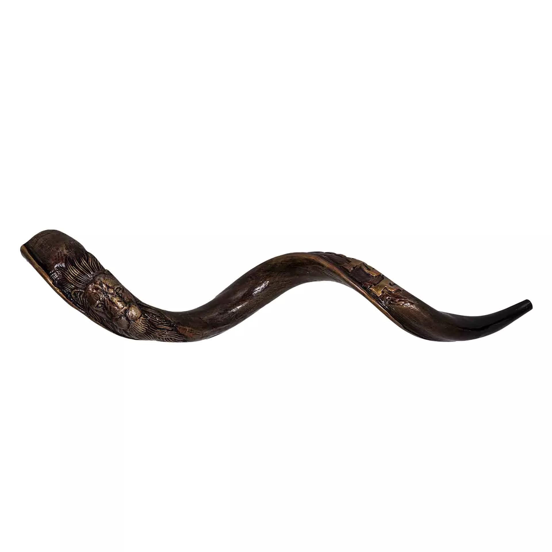 שופר קודו מגולף - דגם אריה מלכותי  Kudu shofar model curved Lion - תמונה ממוזערת 3