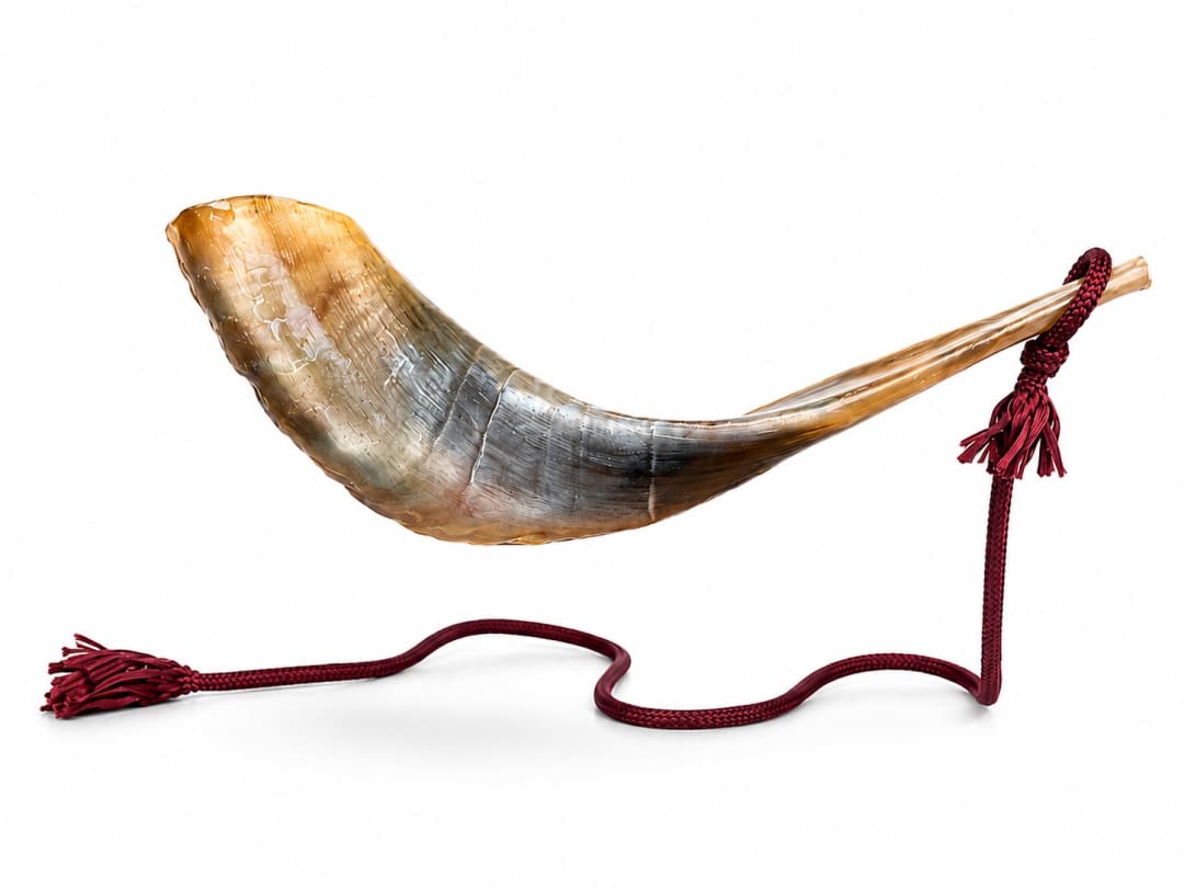 מעמד מרחף לשופר איל