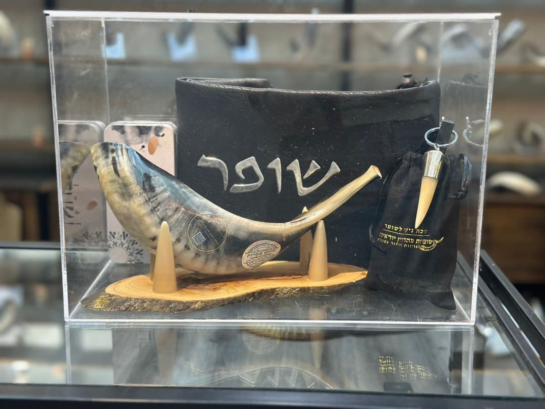 אקווריום פרספקס לתצוגת שופר