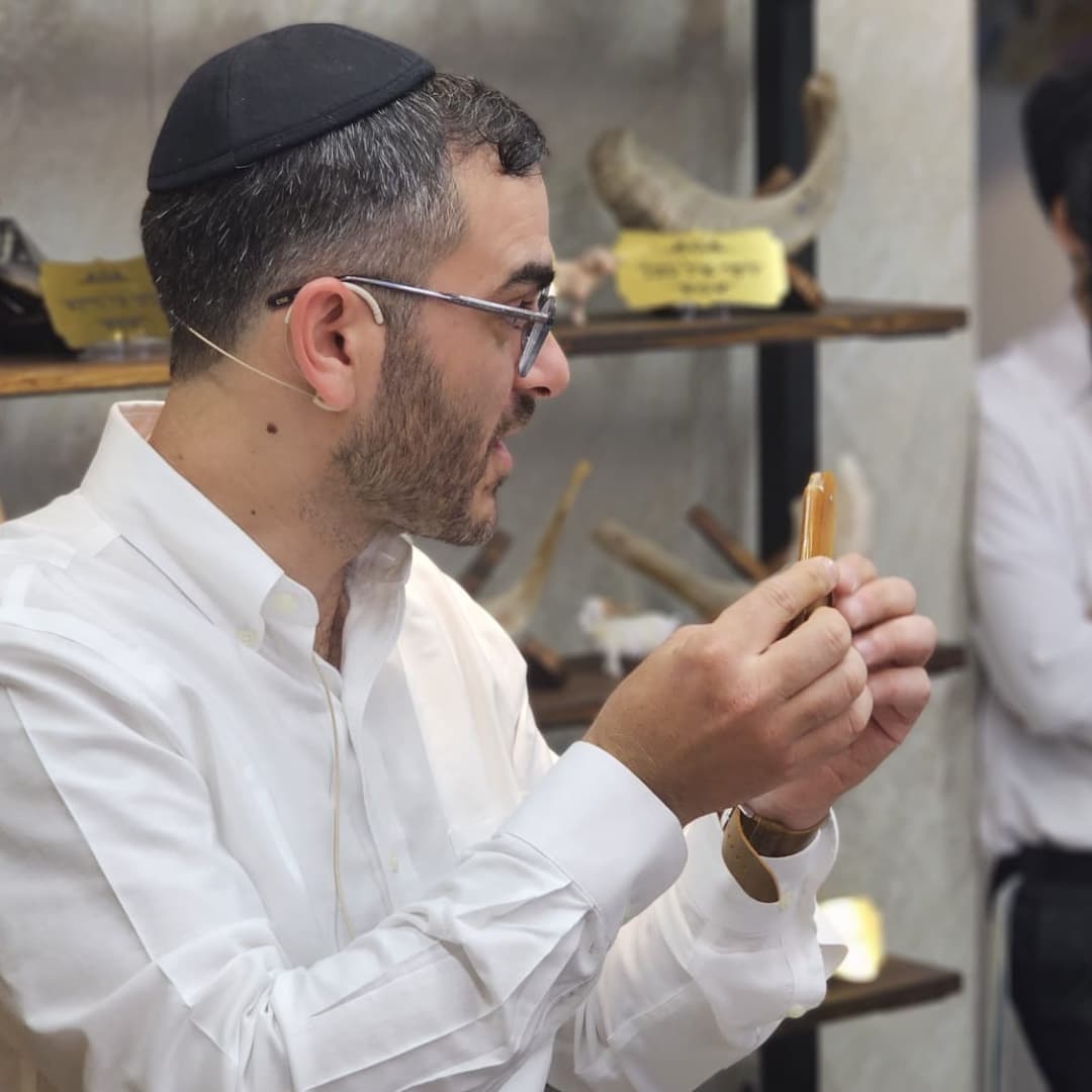 גלריית סדנאות 12