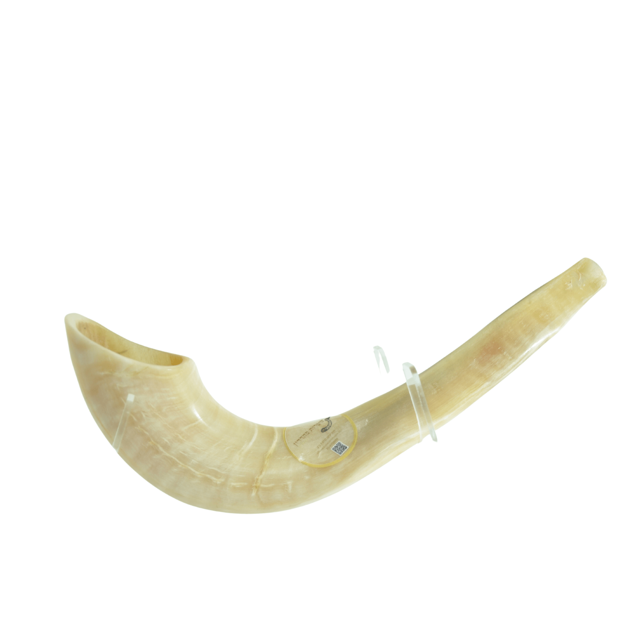 קניית שופר בבני ברק