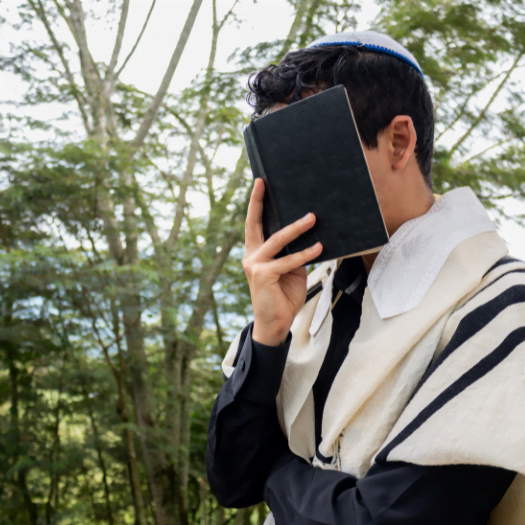 חגים בסגר