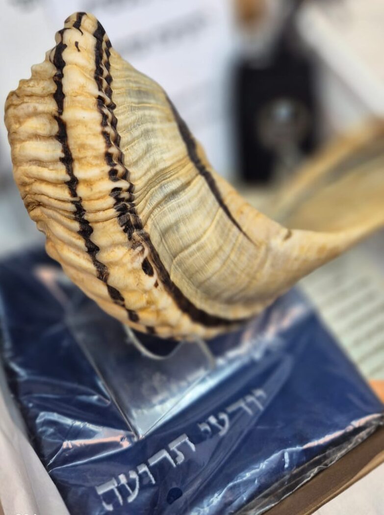 חידוש ושדרוג שופר ברמה הגבוהה ביותר!
