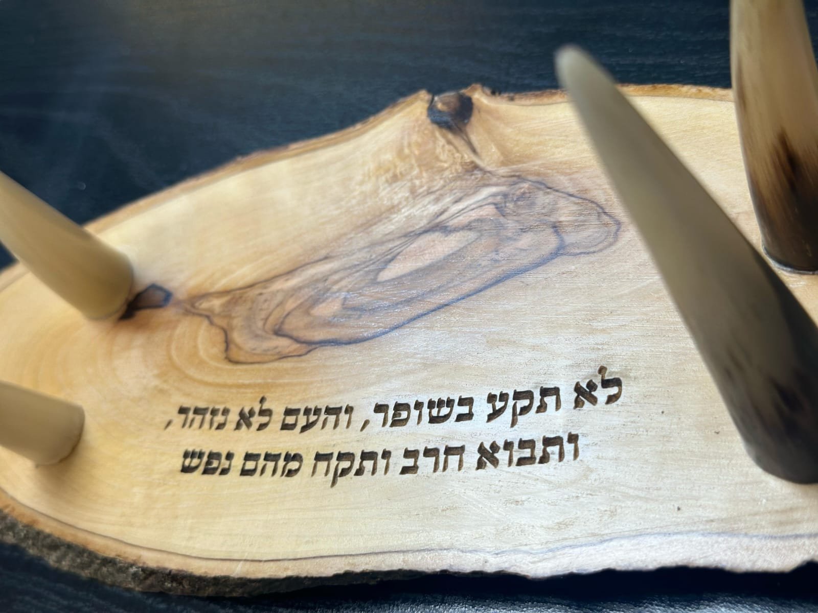 השופר והשואה